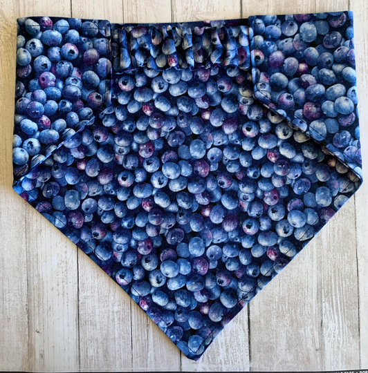 Dog Bandana, Blueberry Festival, Elastic Scrunchie Personalized Bandana