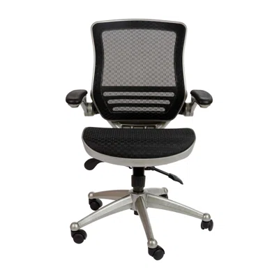 Francelina Mid-Back Mesh Executive Office Chair with Flip-Up Arms