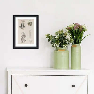 Coral Collage VIII By Vision Studio Framed Art Print