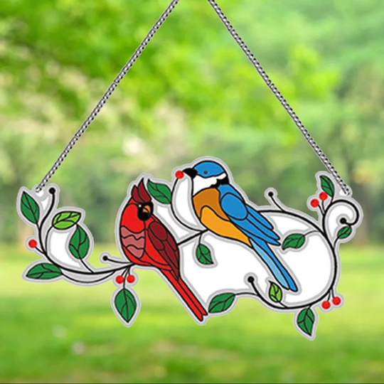 Us Seller. 15x10cm Catcher With Birds, Special Drill, Tools & Diamonds Included. Fast S&h
