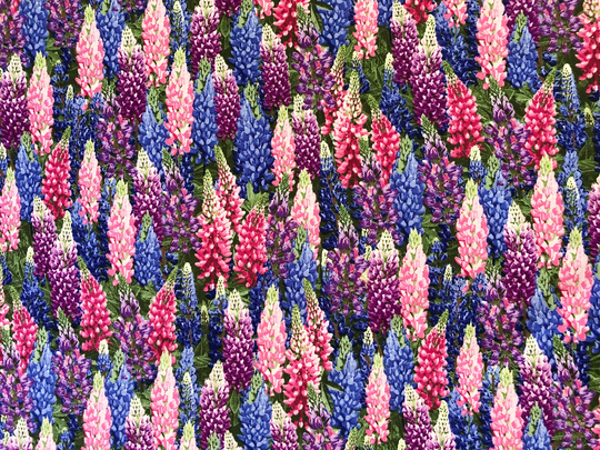 Pink Purple Blue Foxgloves Blooming Floral Quilting Cotton Fabric By 1/4, 1/2 Yard Or Fat Quarter, Australian
