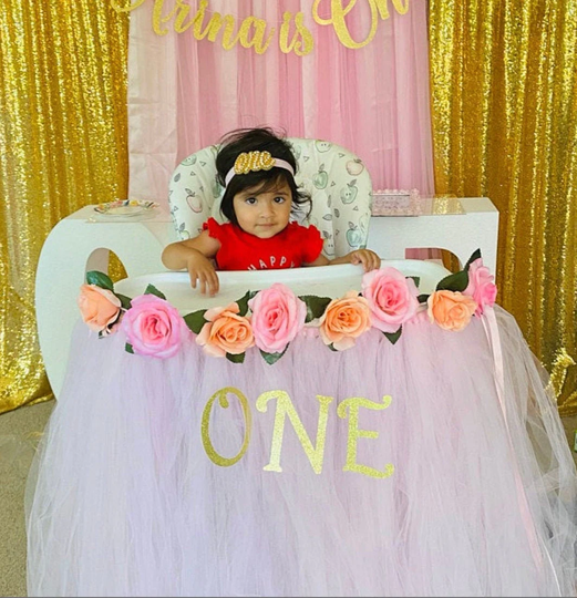 High Chair Tutu - Highchair Skirt Light Pink Tutu Skirt Skirt-1st Birthday- Banner