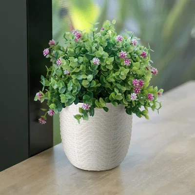 Timeless Ceramic Pot Planter