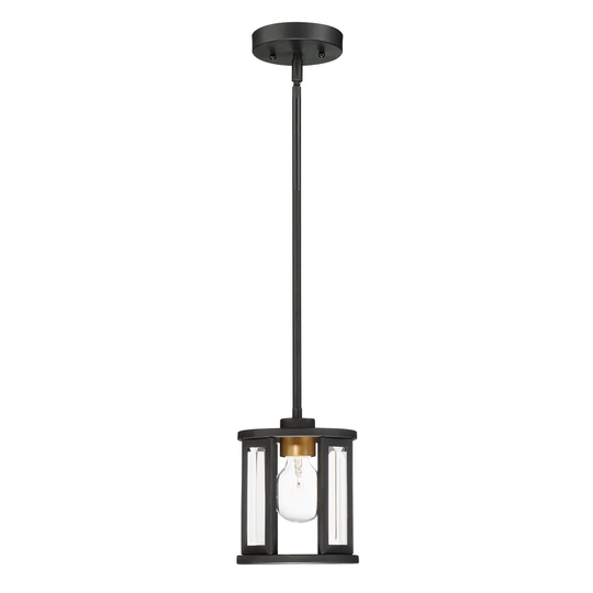 Payne 1-Light Mini Pendant - Black