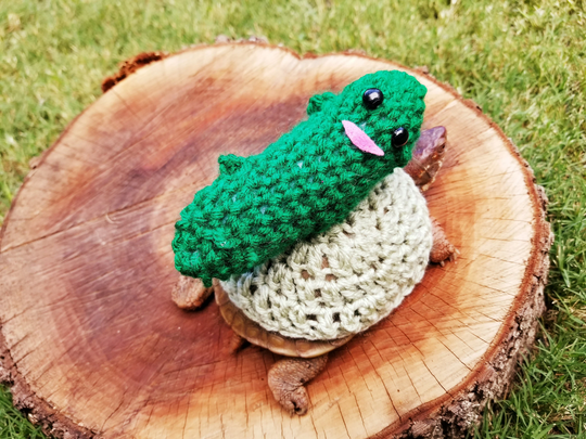 Mr. Pickle Inspired Crochet Costume For Turtles/ Tortoises