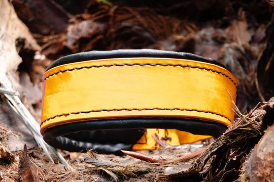 Yellow Leather Agitation Training Dog Collar Padded