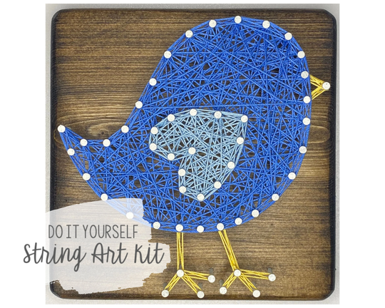 Diy 5x5" Bird String Art Kit