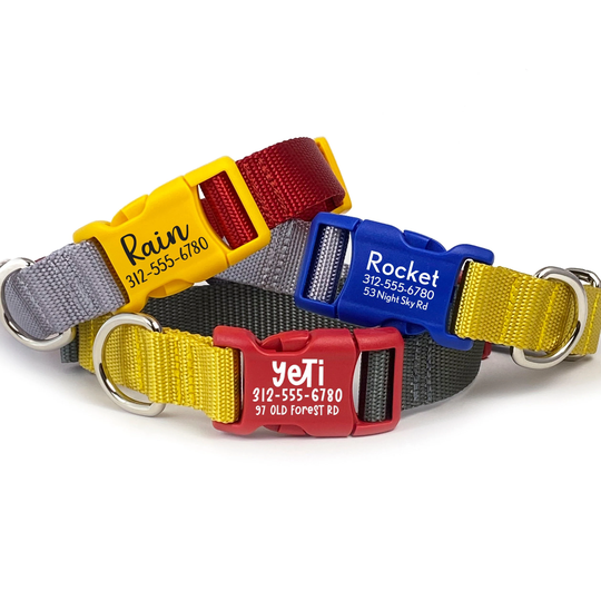 Color-Block Personalized Dog Collar | Colorful With Pet Id Webbing Engraved Buckle Boy Name