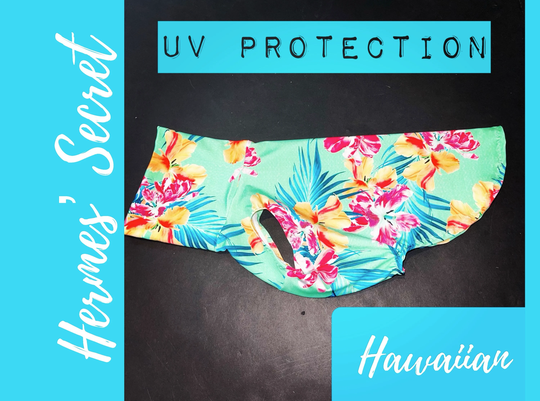 Hermes' Secret Uv Protection Hawaiian Jammies