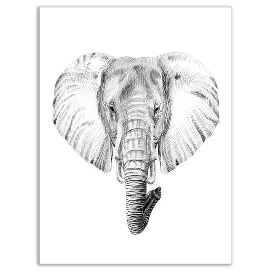 Designart 'Pencil Elephant Sketch in Black and White' Animals Print on Wrapped Canvas - White