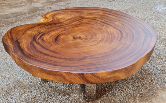 Live Edge Round Coffee Table 42" X 48" 17.5" Golden Acacia Wood Solid Cross Cut Slab With Stainless Steel Leg Base | Custom Made
