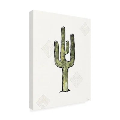 Anne Tavoletti 'Southwest Flair VI' Canvas Art