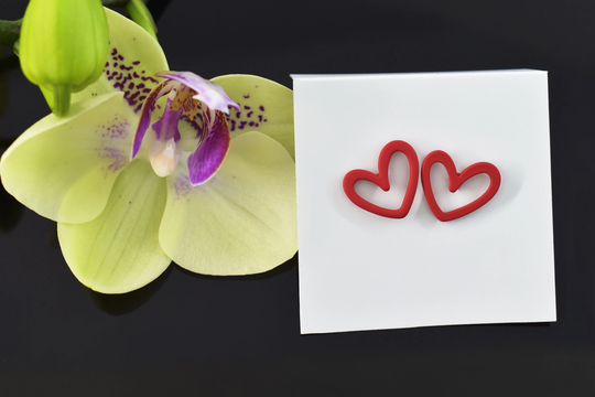 Color Earrings, Ce-Ear05Rh, 2Pcs, Matte Enamel Coated Brass, Red, Colored Heart Heart 14x12mm