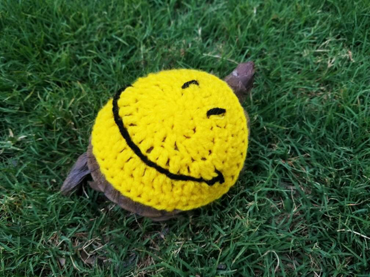 Smiley Face Costume For Turtles/Tortoises