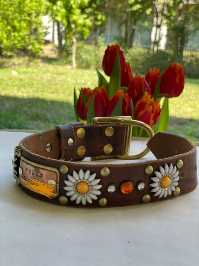 Premade Daisy Collar, Flower Dog Female Dog, Brass, 1.5 Inch Wide, 15 Long, Personalized Nameplate