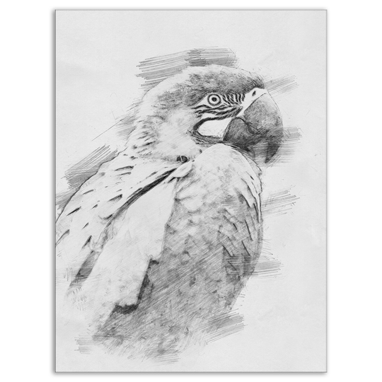 Designart 'Black and White Parrot Pencil Sketch' Animals Print on Wrapped Canvas