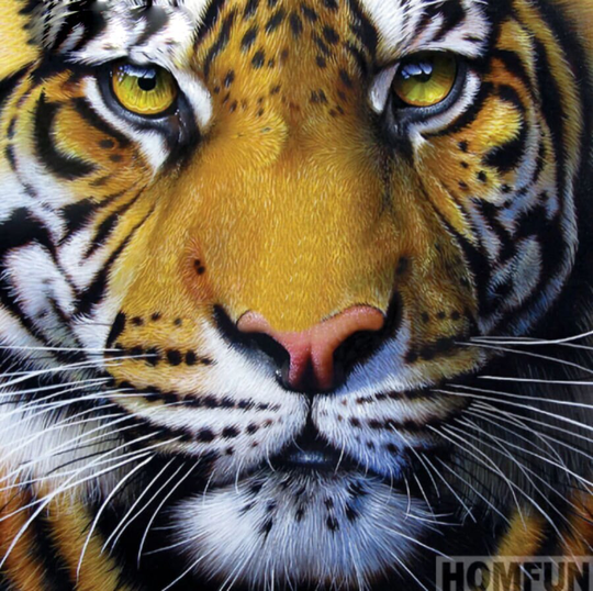 Dinner Time Tiger Diy 5D Diamond Painting Kit Full Square & Round Drill