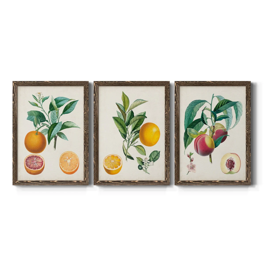 Orange de Malte-Premium Framed Canvas - Ready to Hang - Multi-Color