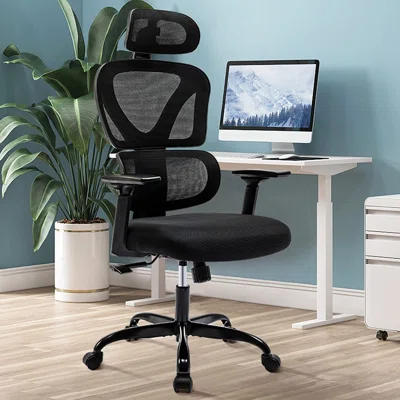 Isairis Ergonomic Office Chair with Adjustable Headrest and Armrests