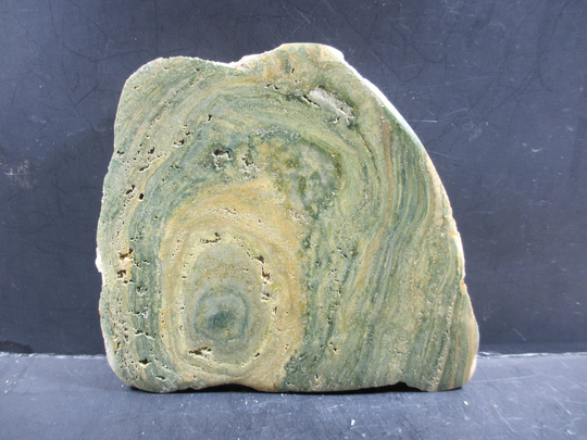 stromatolite, Rare Green Color, Hydrothermal Solution, Middle Eocene, River Fm., Mirror Polish/Natural Side, Complete Colony Half