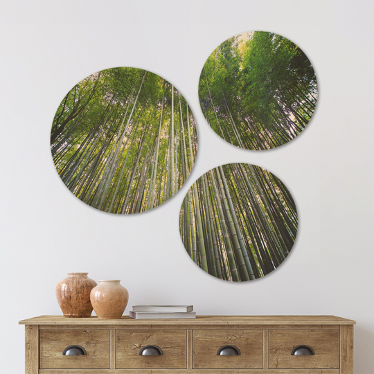 Designart 'Bamboo forest of Kyoto Japan' Forest Wood Wall Art Set of 3 Circles - Multi-Color