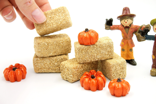 Pumpkins & Hay Bales - Miniature Fall & For Fairy Garden, Terrarium, Dollhouse, Halloween Village Choose Mix Quantity