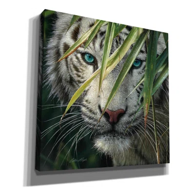 Ebern Designs 'Watching And Waiting' By Collin Bogle, Canvas Wall Art