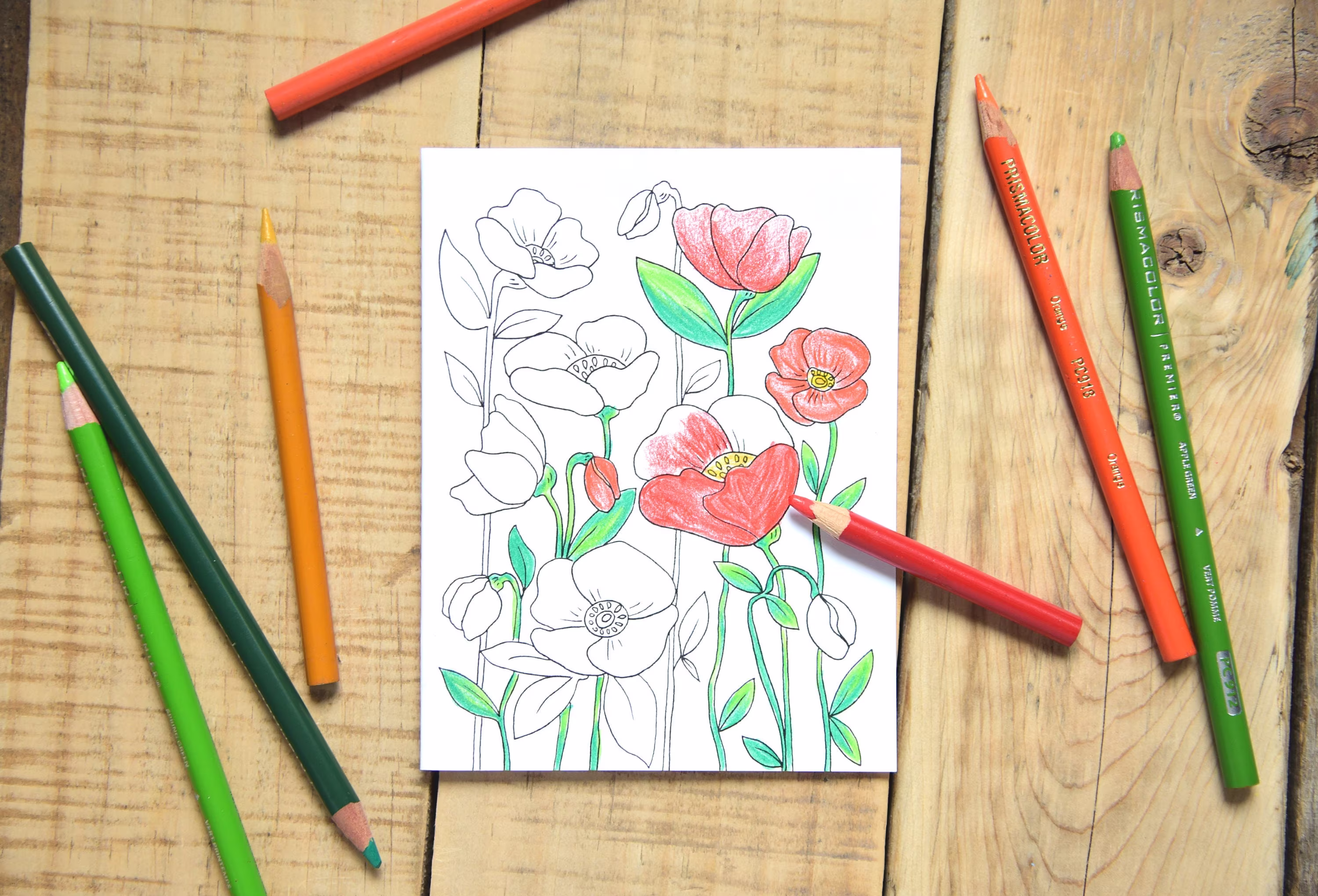 Set Of 6 - Spring & Summer Coloring Cards Floral Color For Adults -Everyday Notecard A2
