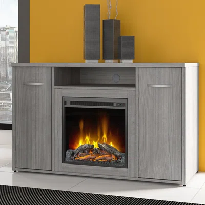 Studio C 48'' W Electric Fireplace