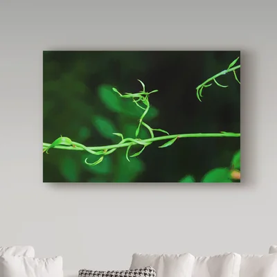 'Green Vine Liquid Pencil Drawing' Vintage Advertisement on Wrapped Canvas