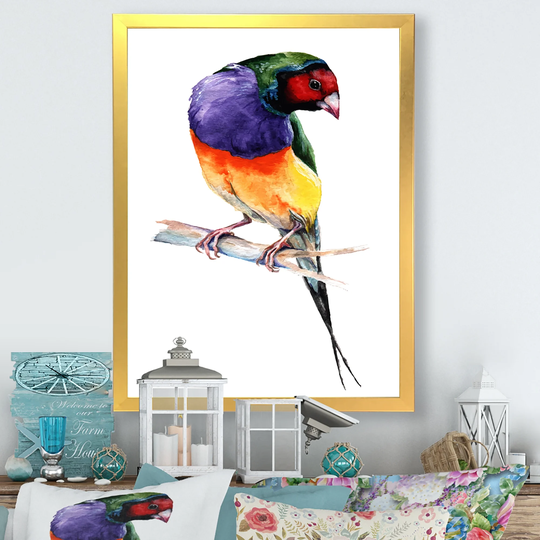Designart 'Colorful Gouldian Finch Bird' Traditional Framed Wall Art