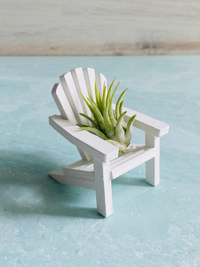 Mini White Adirondack Chair Air Plant Holder | Tillandsia Decor Beach House Lake Decor| Coastal
