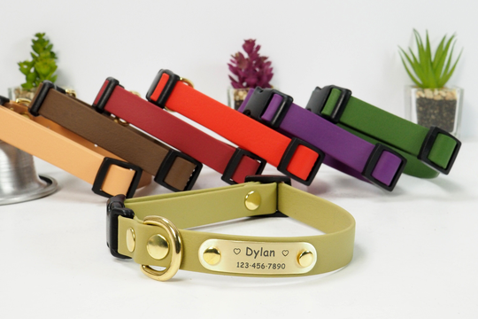 Dog Collar & Leash, Waterproof Collar, Adjustable Side Release Personalized Personalized, Id Tag