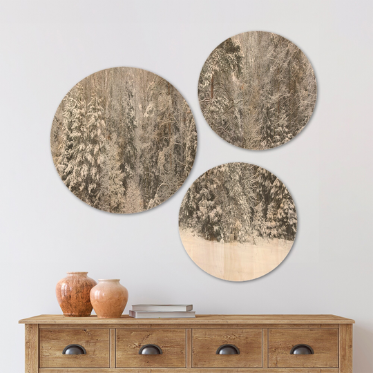Designart 'Foggy Winter Forest Panorama' Landscape Wood Wall Art Set of 3 Circles - Multi-Color