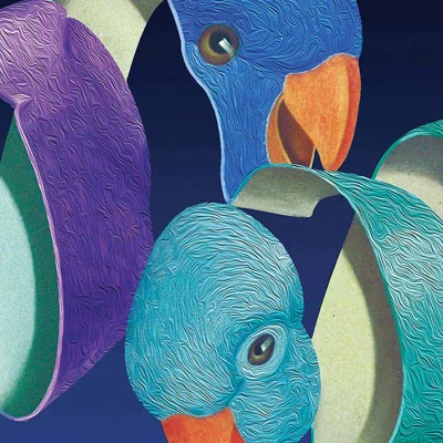 Parakeets - Unframed Graphic Art