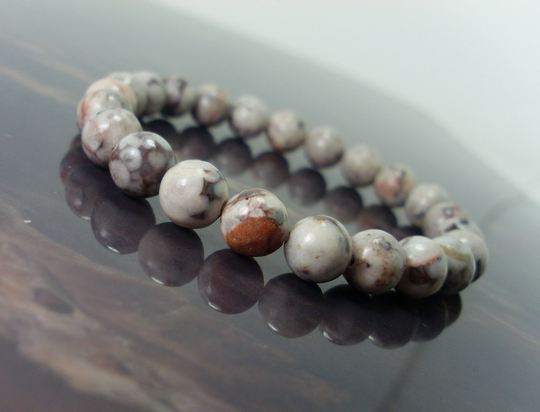Natural Fossil Coral Crinoid Stone Bracelet 8mm, Unisex Women Men Bracelet, Fossilized Beaded For Her Him + Gift Bag