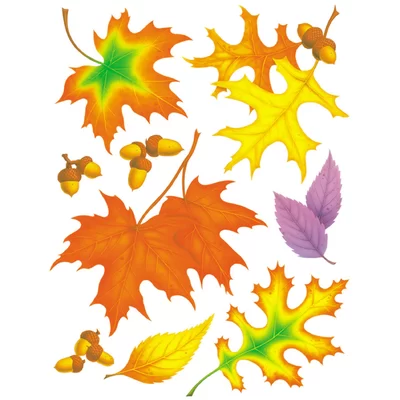 Fall Leaves Window Cling
