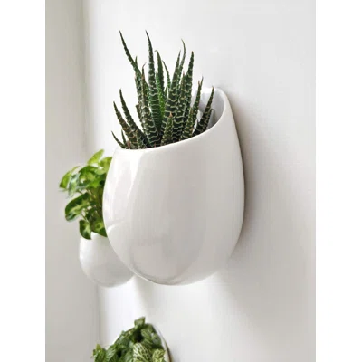 4 Inch Wall Mounted Planter Round Ceramic Hanging Plant Holder Decorative Flower Display Vase Succulent Pots For Indoor Plants.