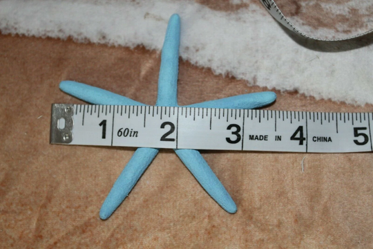 Natural Starfish Colors For Blue Beach Wedding Decor, 3" To 4 Inch Range, Small Free Ship