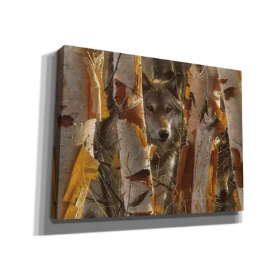 Millwood Pines 'The Guardian' By Collin Bogle, Canvas Wall Art