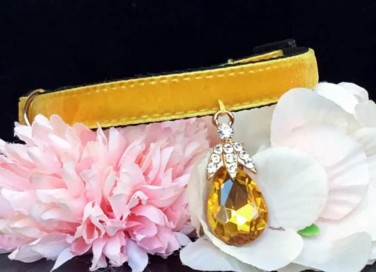 Ginger Yellow Velvet Cat Collar, Rhinestone Autumn Collar, Dog Collar.fall Cat Collar, Birthday Gift For Cat, Cat Necklace.tiny Dog Collar