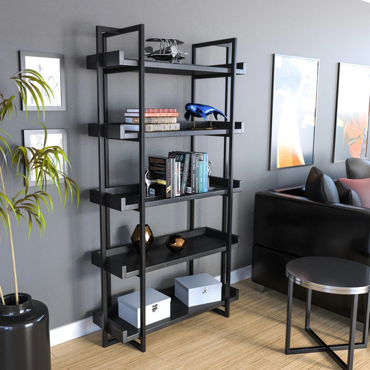 Carbon Loft Ganesh Rustic Black Ladder Shelf