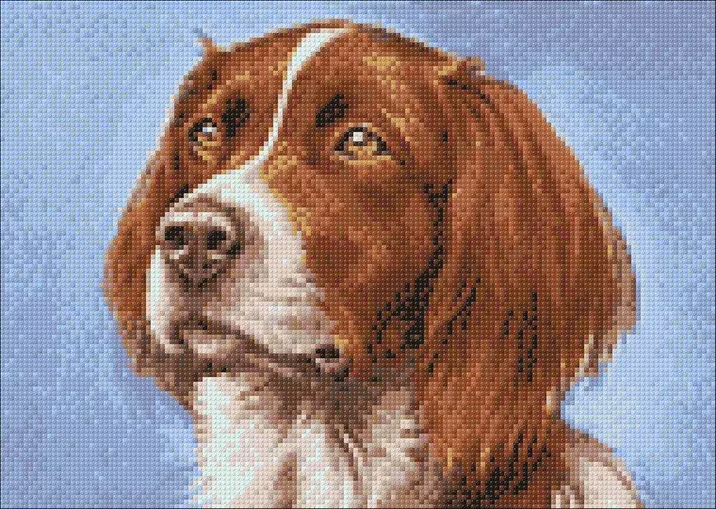 Dog Diamond Painting Set By Wizardi. Wd181 Art Kit. Large Kit