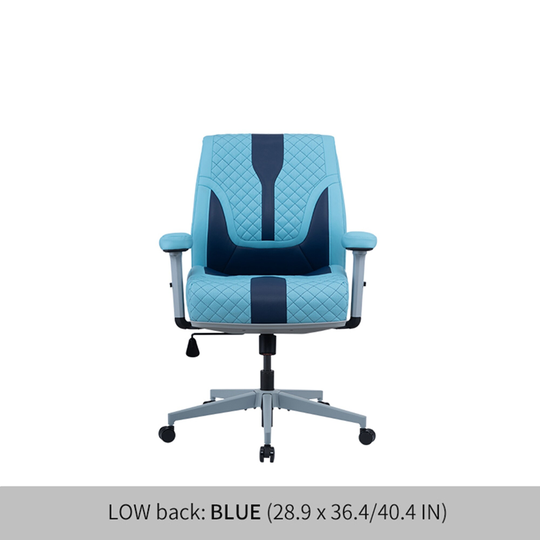 Low back wellness office chair gaming chair