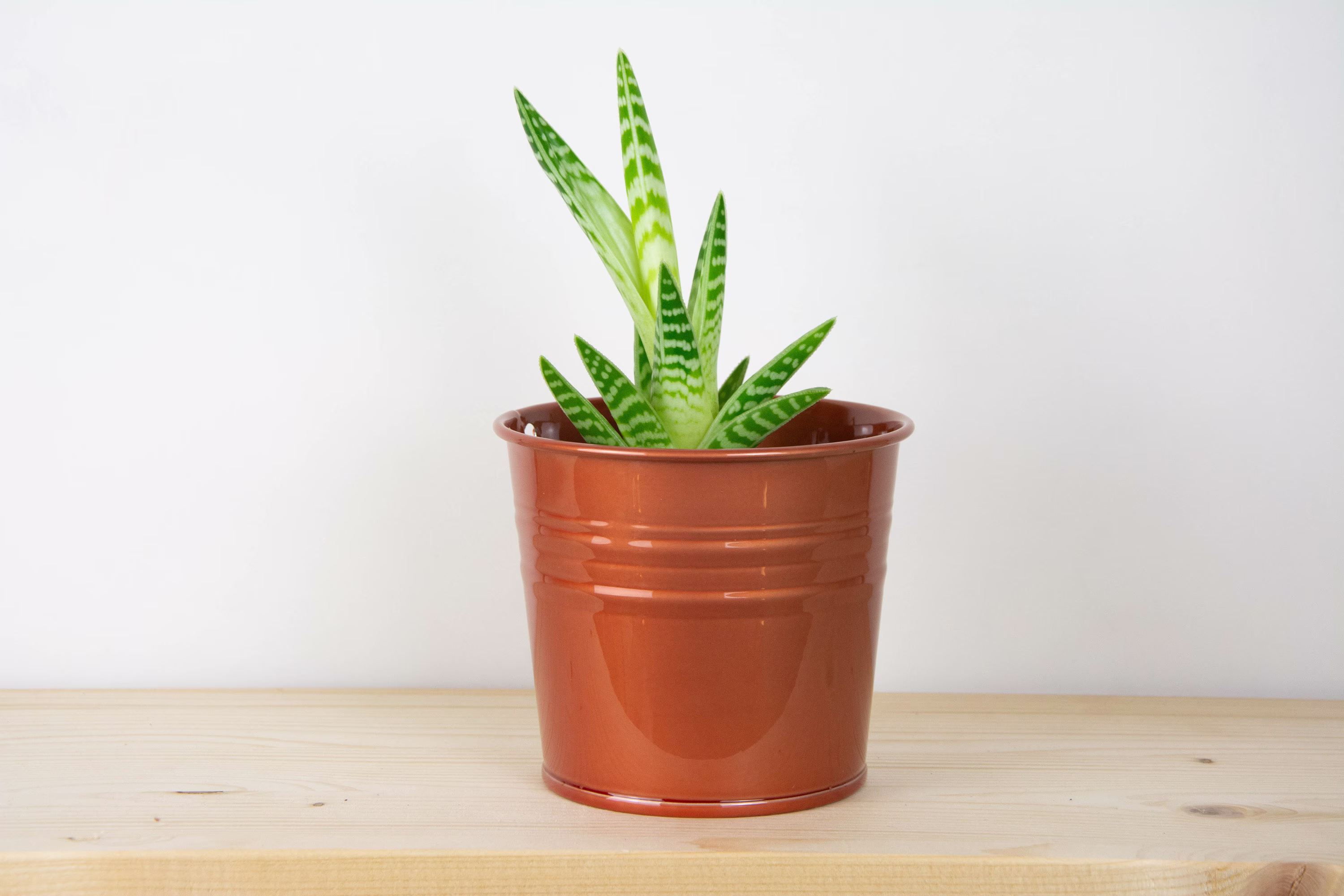 Metal Plant Pot - Candy Rose Color Planter Succulent Home Decor Holder Bucket
