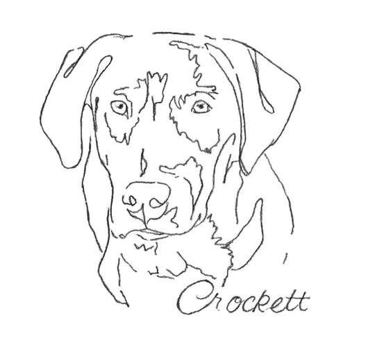 Hand Drawn Pencil Simple Face Line Drawing Of Your Pet's Photo, Outline From Picture Good Dog Owner Gift