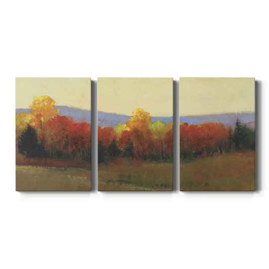 Changing Colors II- Premium Gallery Wrapped Canvas - Ready to Hang