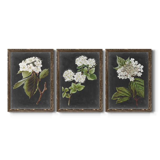 Dramatic White Flowers I-Premium Framed Canvas - Ready to Hang - Multi-Color