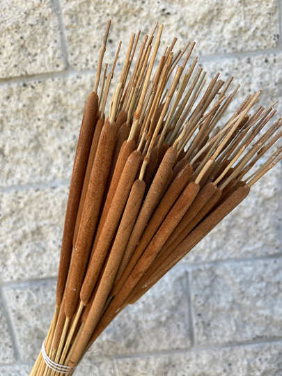 100 Cattails // Mini Pencil Natural Dried Preserved Flowers Wedding