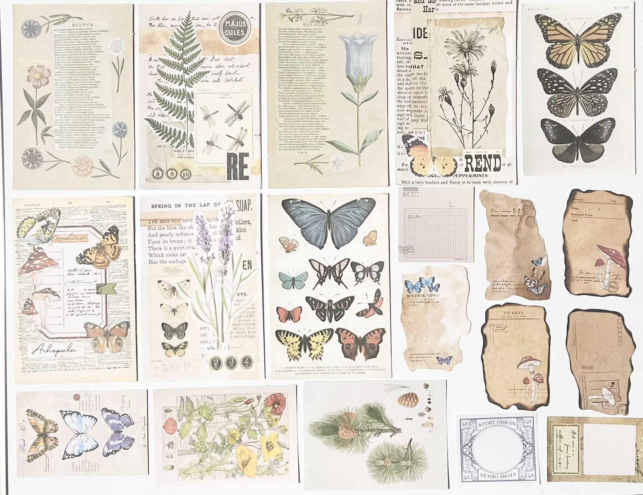 Restock-100 Pcs Assorted Botanical Journal Ephemera, Junk Papers, Supplies, Scrapbook Stationery